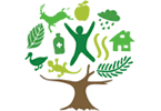 A�o internacional de los bosques