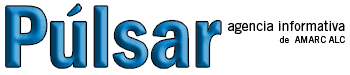 Logo P�lsar