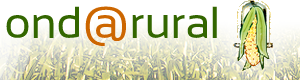 BannerOndaRural