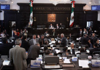 senado