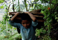 Trabajo infantil
