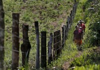 indigenas-salitre
