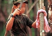 menores farc