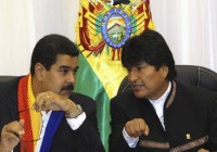 evo maduro